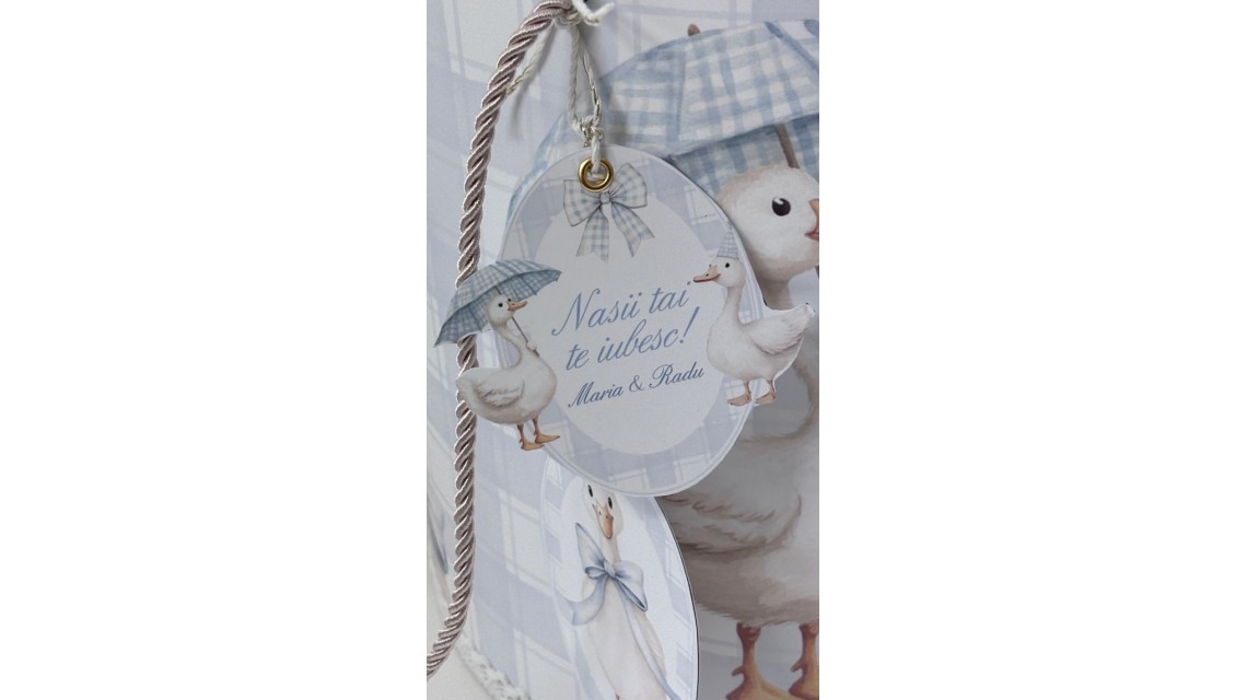 Trusou de botez cu rățuște Silly Goose 19